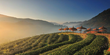 Top 10 5 Star Hotels In Chiang Mai From 77 Night Mae Rim Chiang Mai Thailand