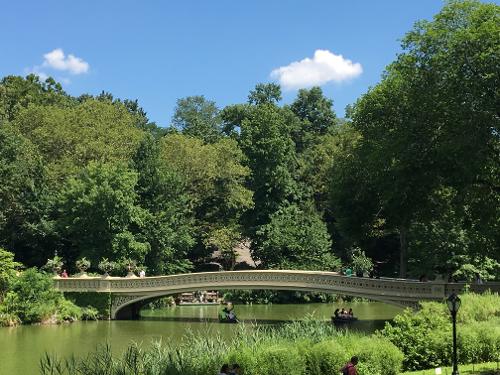 Book 1 Hotel Central Park, New York from $244/night - Hotels.com