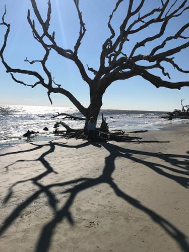 Villas By The Sea Jekyll Island Reviews Villas By The Sea Jekyll Island Reviews