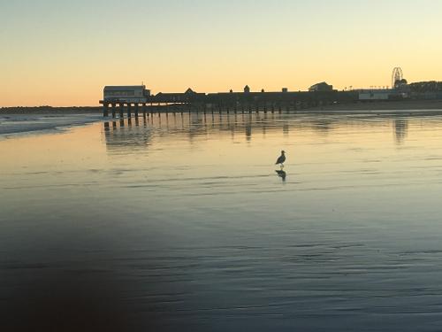 Hotels In Old Orchard Beach Maine With Oceanfront Hotels In Old Orchard Beach Maine With Oceanfront